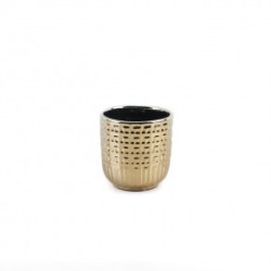 Base Braille  Ch Champagne