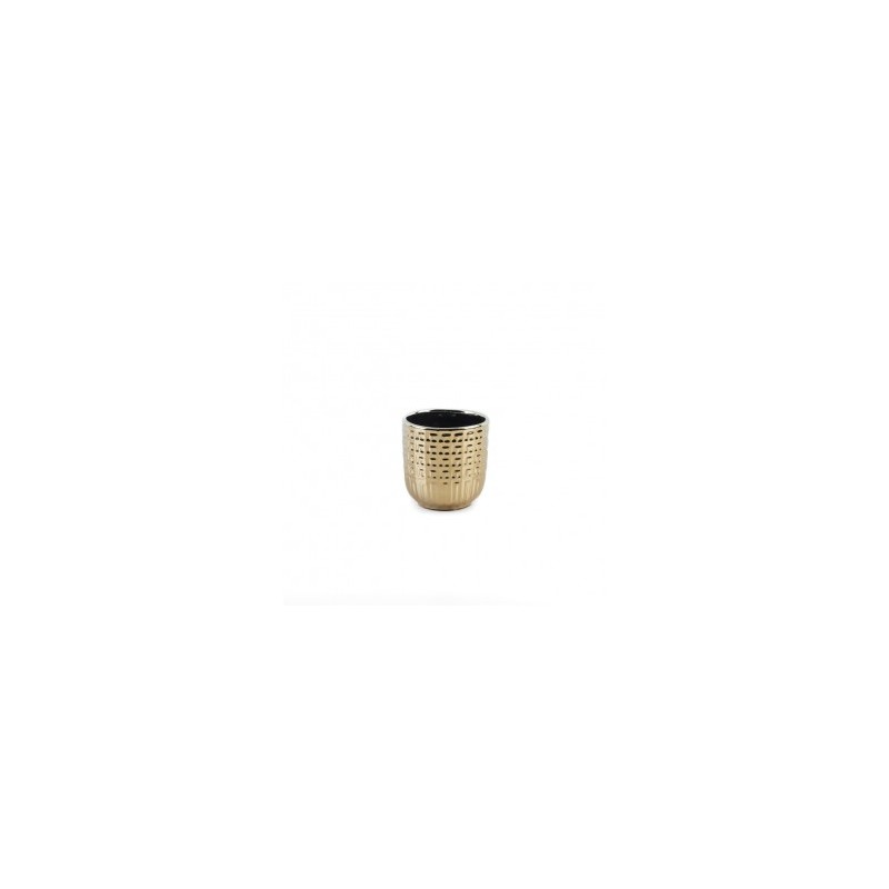 Base Braille  Ch Champagne