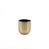Base Braille  Ch Champagne