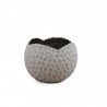 Base Crater 15 Cm Gris/dorado